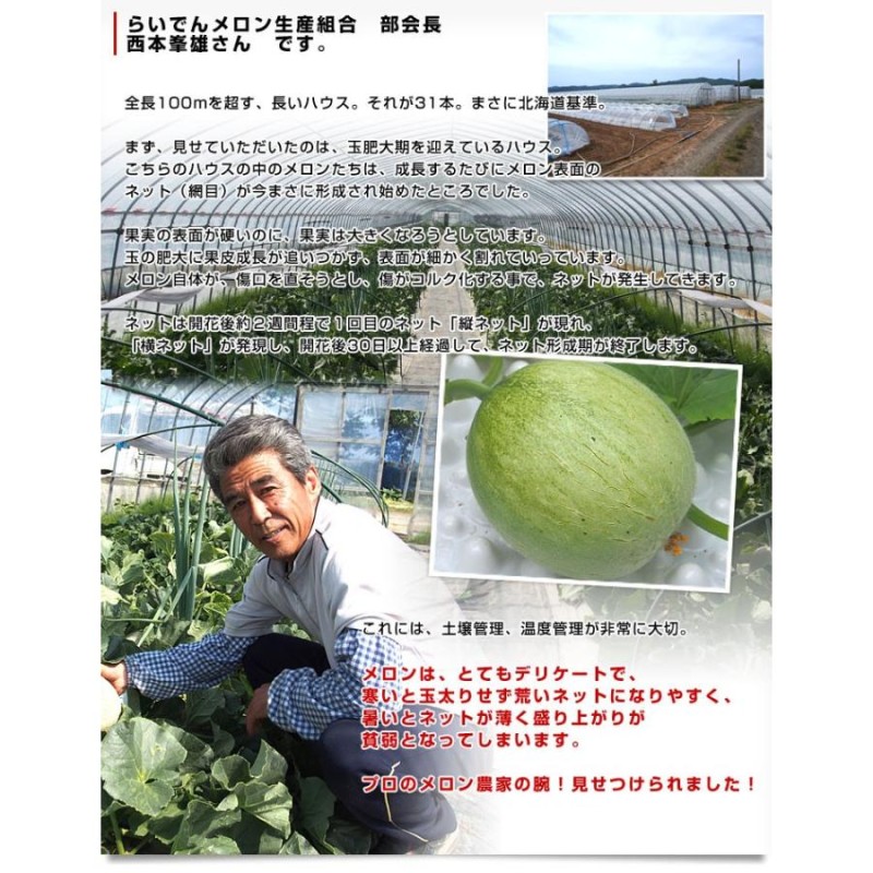 北海道より産地直送 JAきょうわ らいでんメロン 赤肉 秀品