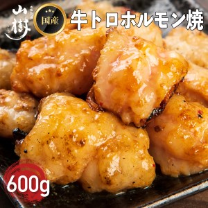 山樹の国産牛とろホルモン焼き（味付 タレ）　600g [047R17]