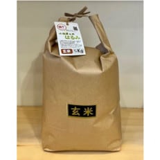 新米 令和5年産 小田原の米「はるみ」玄米 20kg(5kg×4袋)