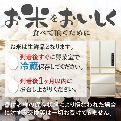 ふるさと納税 飛騨市 飛騨古川産　特別栽培米こしひかり玄米 10kg