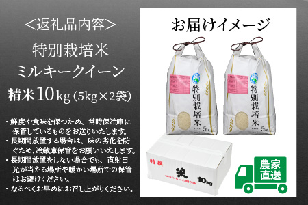 特別栽培米 ミルキークイーン 精米 5kg×2袋（計10kg） 農薬不使用 化学肥料不使用 ／ 高品質 鮮度抜群 福井県産 ブランド米 白米 あわら産 ブランド米