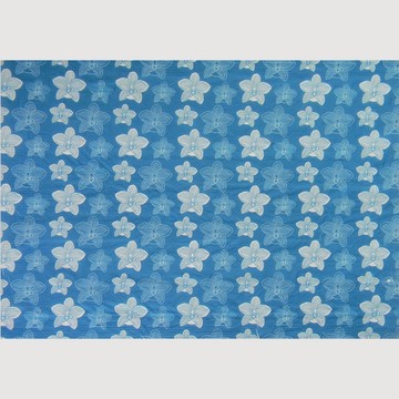 【知文堂】台灣原生植物show/藍染蝶谷巴特/紫苞舌蘭