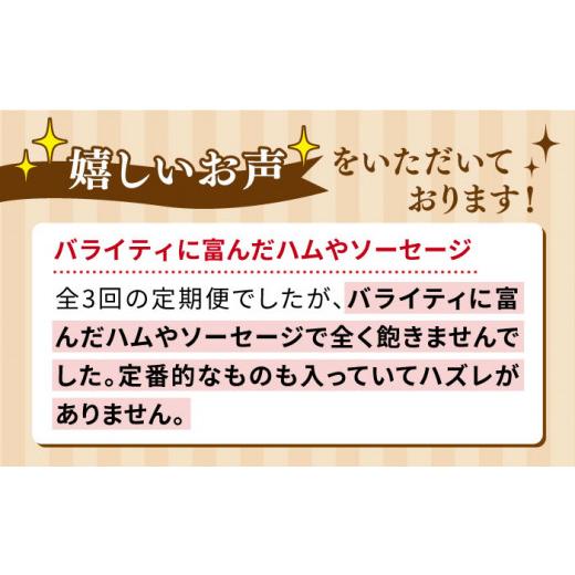 ふるさと納税 福岡県 糸島市 本場ドイツで連続金賞受賞！本格 ウインナーの バラエティ 定期便 ウインナー ／ ハム ／ 生ウインナー ／ 生ハ…