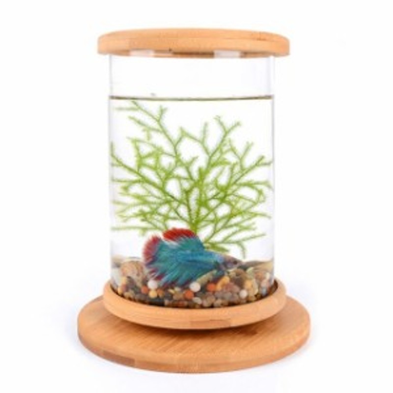 デスクトップクリエイティブオフィス強化ガラスマイクロシリンダークリエイティブ竹と木材生態学的な A Style Fish Tank 通販 Lineポイント最大1 0 Get Lineショッピング