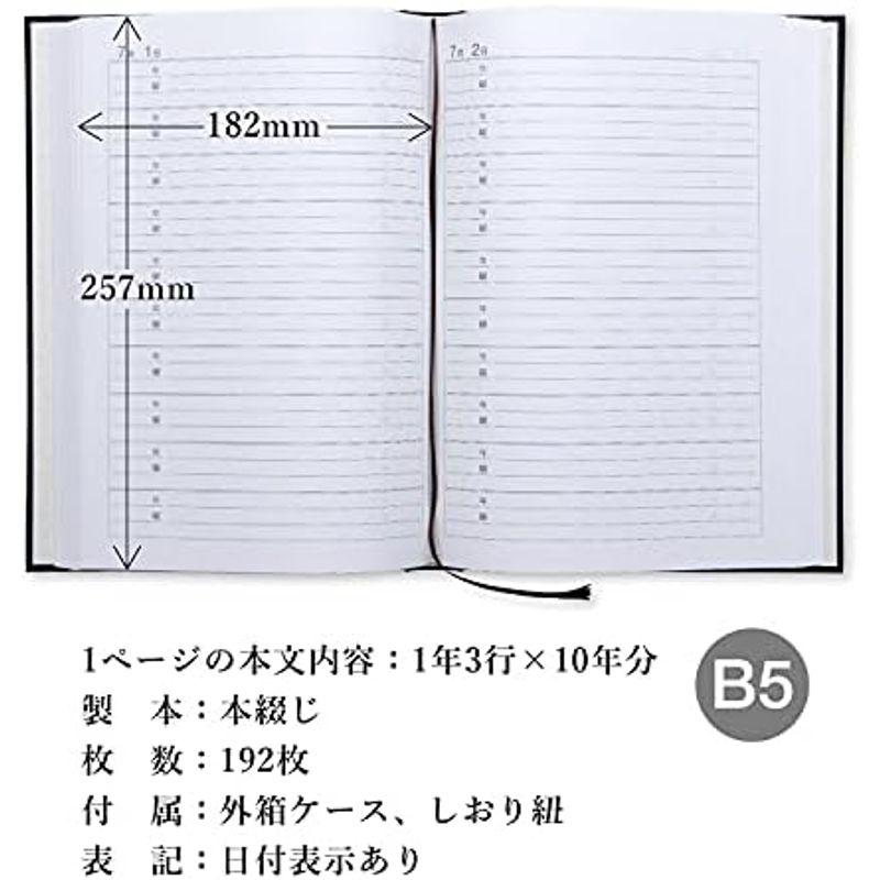 アピカ 日記帳 10年日記 横書き B5 日付け表示あり D313