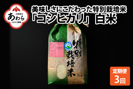 《定期便3回》コシヒカリ 精米 5kg （計15kg）特別栽培米 農薬不使用 化学肥料不使用 ／ 高品質 鮮度抜群 福井県産 ブランド米 白米 あわら