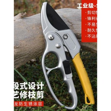 【今日好貨中】新款工藝果樹剪刀修枝專用電動摘果剪樹枝園藝剪子