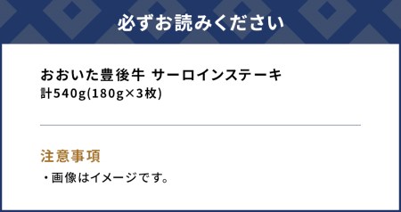 おおいた豊後牛 サーロインステーキ 180g×3枚(合計540g) 和牛 豊後牛 国産牛 赤身肉 焼き肉 焼肉 ステーキ肉 大分県産 九州産 津久見市 国産