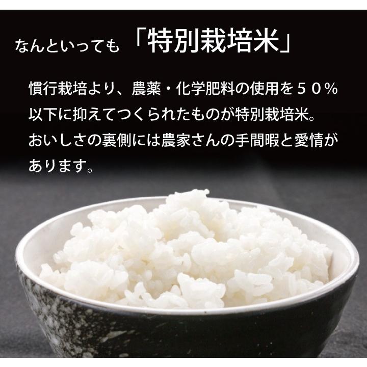 令和5年産 新米 あきたこまち 特別栽培米 5ｋｇ 米農家の店長セレクト 秋田 県南 送料無料