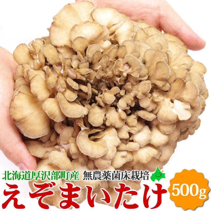 舞茸 えぞまいたけ 500g（1株）蝦夷舞茸 無農薬 北海道産 厚沢部町 送料無料 国産 きのこ マイタケ キノコ 北海道 野菜 お取り寄せ 無農薬野菜