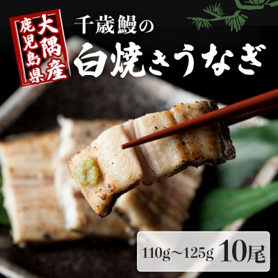 鹿児島県 大隅産 千歳鰻の 白焼鰻(110g～125g) 10尾