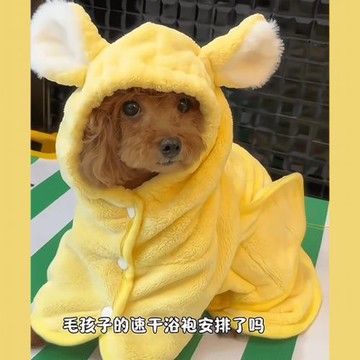 泰迪專用浴袍寵物小狗狗速干浴巾可穿洗澡超強吸水毛巾衣服小型犬