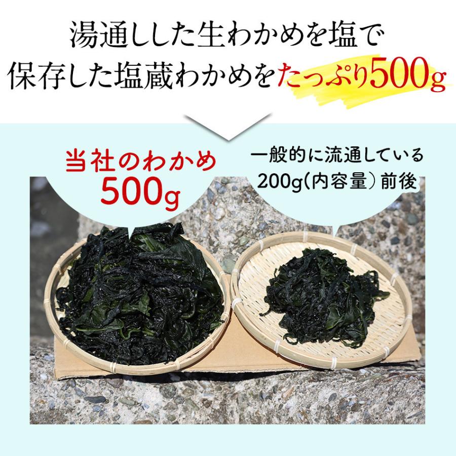 贈答用　わかめ 生わかめ 500g×6個 国産 わかめ ワカメ 生 鳴門海峡 鳴門わかめ 鳴門 徳島 塩わかめ 国産わかめ 塩蔵わかめ 塩蔵ワカメ