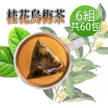 【蔘大王】美妍桂花烏梅茶包X6組（6gX10入/組）可冷泡熱泡 速代謝 快淨空消暑解渴茶 美顏好臉色 輕盈靈活