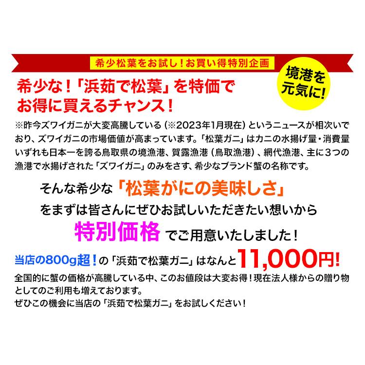 かに カニ 蟹 ズワイガニ 浜茹で松葉 松葉ガニ 浜茹で松葉ガニ 1杯800g超 (ブランドタグ付き)