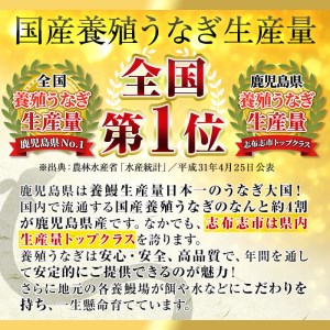 うなぎの大楠＜超特大＞4尾セット計760g以上(190g×4) c4-010