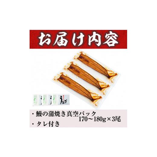 ふるさと納税 鹿児島県 志布志市 うなぎの大楠＜特大＞3尾セット計510g(170g×3) b3-005