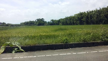觀音蓮花園區900坪農地｜桃園市觀音區金華路