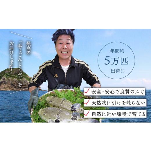 ふるさと納税 長崎県 平戸市 活〆おうごんとらふぐ贅沢セット（4人前） 平戸市 ／ 松永水産 [KAB126]