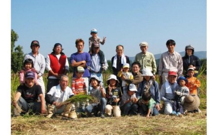 熊本県菊池産 ヒノヒカリ 無洗米 計240kg（5kg×4袋×12回）精米 お米 白米