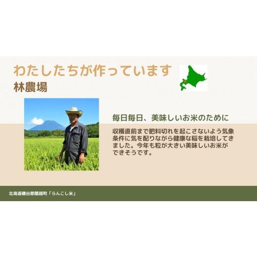 ふるさと納税 北海道 蘭越町 ＜令和5年産新米＞らんこし米（ゆめぴりか）　２ｋｇ（林農場）