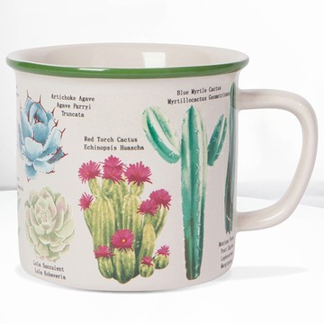 《NOW》石陶馬克杯-多肉340ml-- 水杯 茶杯 咖啡杯 聖誕交換禮物