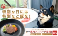 鹿肉ドッグフード　鹿肉ハンバーグ（犬用）　10個（約50g×10個）