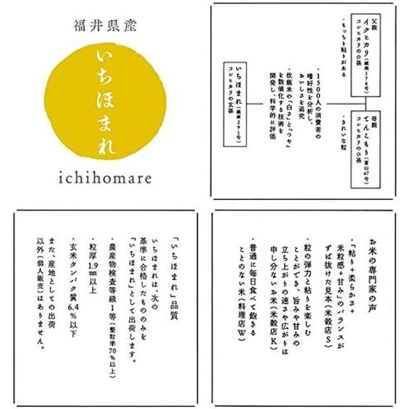 精米福井県産 いちほまれ 白米 30kg(5kg×6袋) 令和4年産