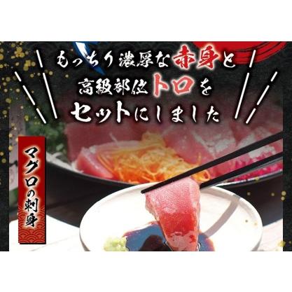 ふるさと納税 ＼年末発送！お正月に／本マグロ（養殖）トロ＆赤身セット 240g まぐろ 刺身 鮪 本鮪 クロマグロ 赤.. 和歌山県すさみ町