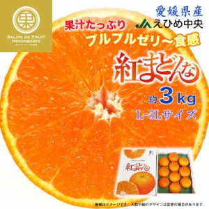 [予約 12月10日-12月25日の納品] 早期割引 紅まどんな 約3kg L-5Lサイズ 愛媛県 JAえひめ中央 化粧箱