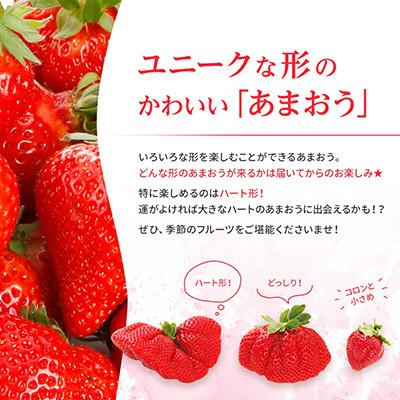 ふるさと納税 大木町  2024年先行受付 博多あまおう 福岡県JAグループブランド