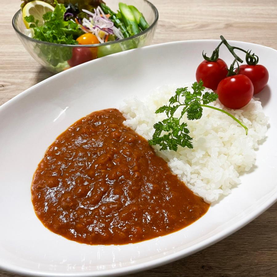 無水 カレー 水を一切使わずトマトと野菜の水分のみで作ったZEROカレー2個セット 野菜カレー