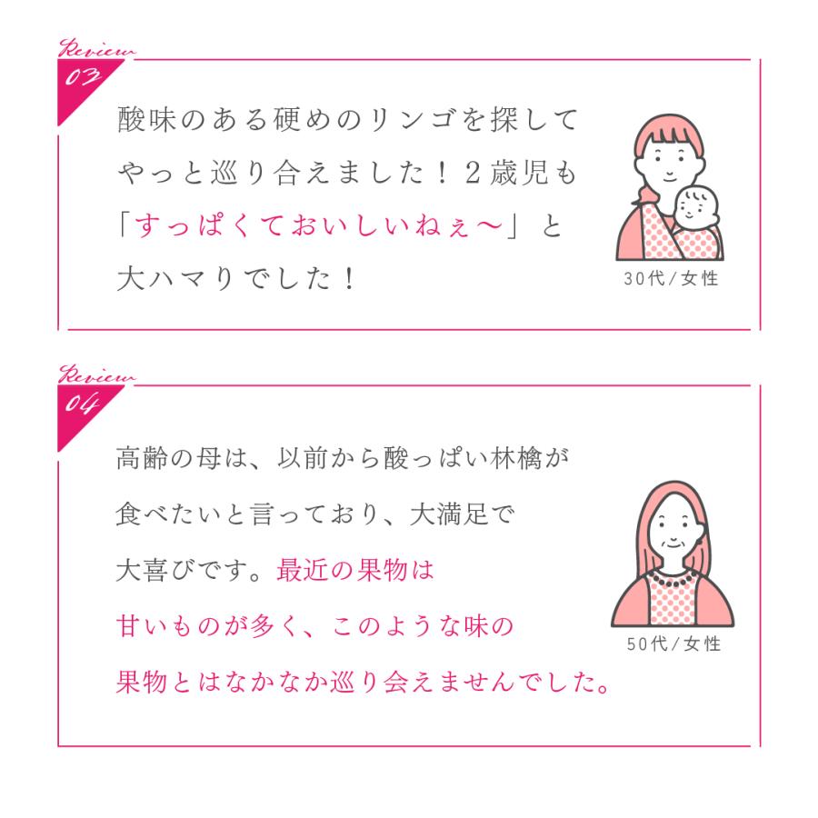 ピンクレディ 5kg 箱 訳あり 幻の林檎 減農薬 希少 りんご 長野 安曇野 信州 産地直送 酸っぱい 「ピンクレディ5キロ箱訳あり品」