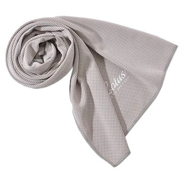 Lotus COZY FITNESS SERIES 透氣降溫涼感運動毛巾  灰色  1條