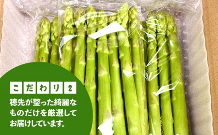 ＜先行予約＞春芽 アスパラガス 700gアスパラ 野菜 [HCC005]