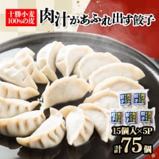 十勝餃子手房にしかわの肉汁があふれ出す餃子セット　15個入×5パック