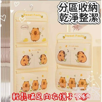 【Q貝比】現貨 內衣內褲收納網兜 襪子收納掛袋  內衣收納 多層懸掛式掛袋 衣櫥收納