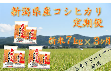 令和4年産 新潟県産 コシヒカリ 7㎏（精米）