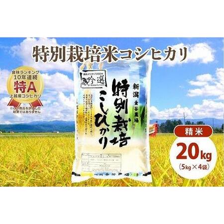 ふるさと納税 令和5年産|新潟上越三和産|特別栽培米コシヒカリ(従来種)20kg(5kg×4)精米 新潟県上越市