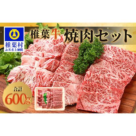 ふるさと納税 宮崎県産 椎葉牛 焼肉セット 宮崎県椎葉村