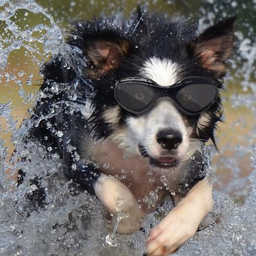 TTP戰術護目鏡 (路加)