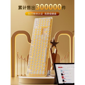 靜音鍵盤機械手感有線臺式電腦筆記本女生辦公打字專用鼠標套裝L1