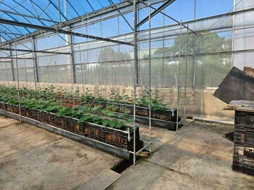 花壇近74溫室農場(A)｜彰化縣花壇鄉新中庄段