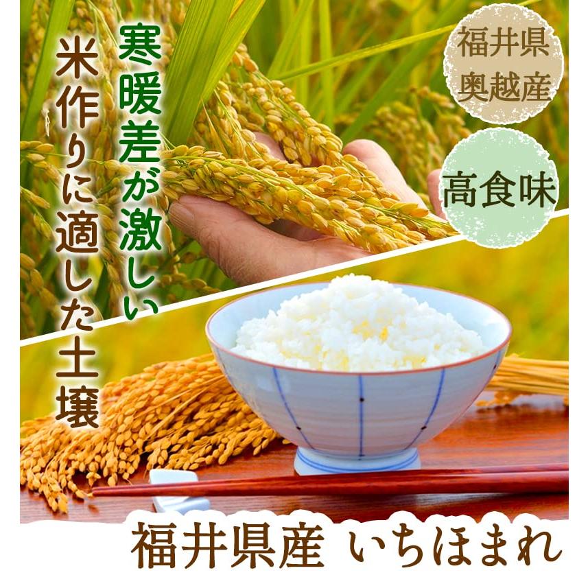 白米 いちほまれ 福井県の新しいブランド米 10kg（5kg×2） 令和5年産 福井県産