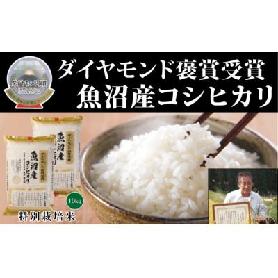 ふるさと納税 新潟県 令和4年産　魚沼産こしひかり　5kg×2袋