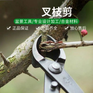 盆景工具製作養護工具盆栽工具叉枝剪斜口剪叉枝鉗斜切剪工具包