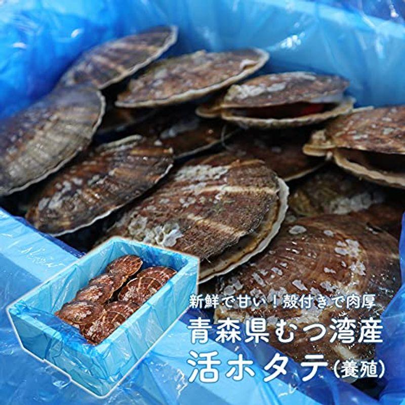 ほたて 3kg 活ほたて 青森県産新鮮プリっと甘い青森県むつ湾産 活ほたて 3ｋｇチルド便海鮮