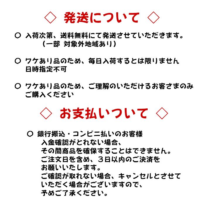 福島県産 りんご 　訳あり品 ５玉〜６玉