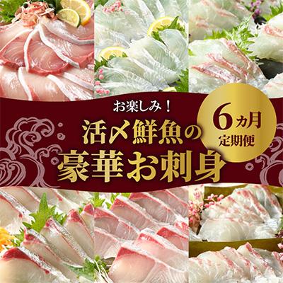 ふるさと納税 延岡市 活〆鮮魚のお刺身全6回