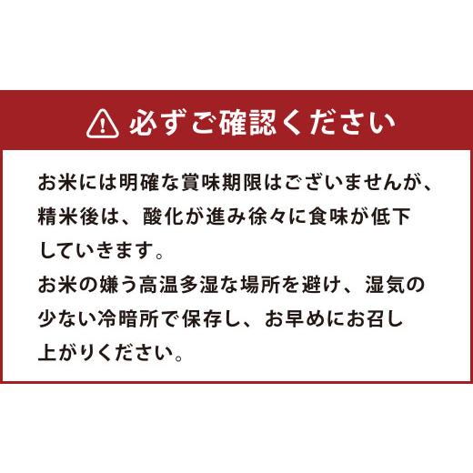 ふるさと納税 青森県 八戸市 青森県産 まっしぐら 25kg お米 白米 精米